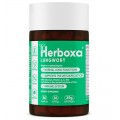 Herboxa Lungwort | Βοτανικό συμπλήρωμα διατροφής Herboxa Lungwort | Βοτανικό συμπλήρωμα διατροφής