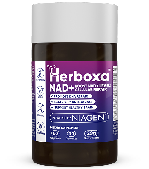 Herboxa® NAD+ | Καινοτόμο συμπλήρωμα αντιγήρανσης